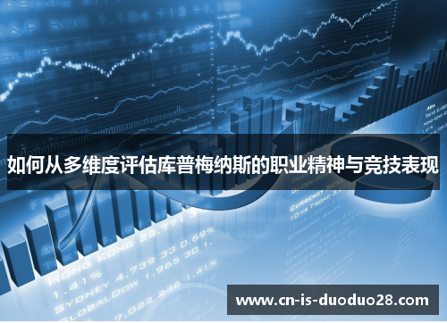 如何从多维度评估库普梅纳斯的职业精神与竞技表现