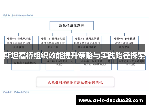斯坦福桥组织效能提升策略与实践路径探索