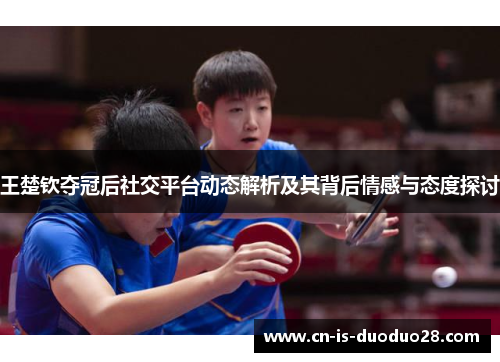 王楚钦夺冠后社交平台动态解析及其背后情感与态度探讨 王楚钦夺冠后社交平台动态解析及其背后情感与态度探讨