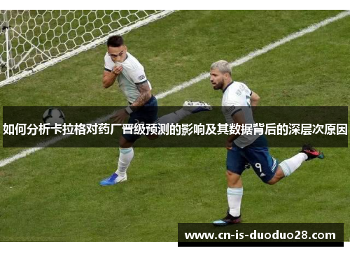 如何分析卡拉格对药厂晋级预测的影响及其数据背后的深层次原因