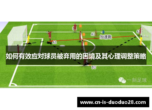 如何有效应对球员被弃用的困境及其心理调整策略