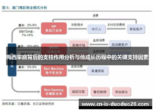 梅西家庭背后的支柱作用分析与他成长历程中的关键支持因素