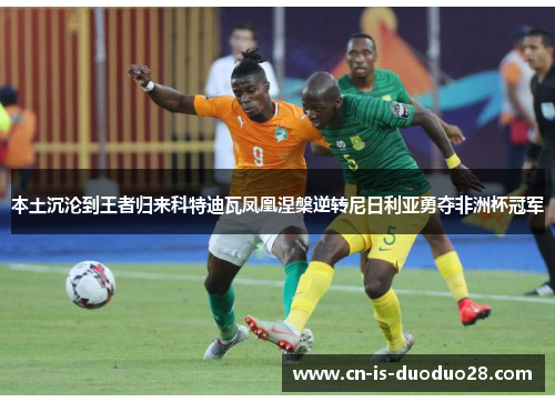 本土沉沦到王者归来科特迪瓦凤凰涅槃逆转尼日利亚勇夺非洲杯冠军
