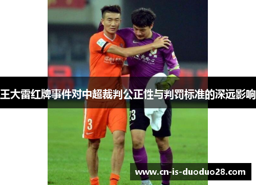 王大雷红牌事件对中超裁判公正性与判罚标准的深远影响 王大雷红牌事件对中超裁判公正性与判罚标准的深远影响