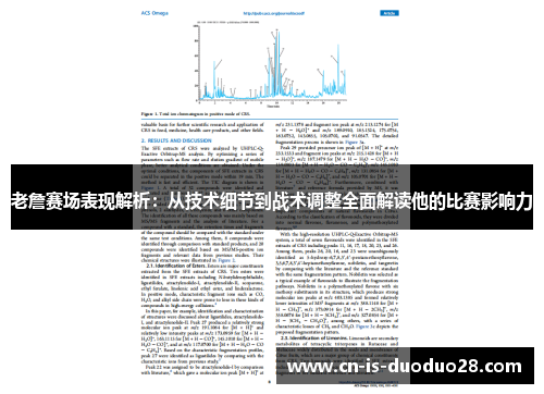 老詹赛场表现解析：从技术细节到战术调整全面解读他的比赛影响力